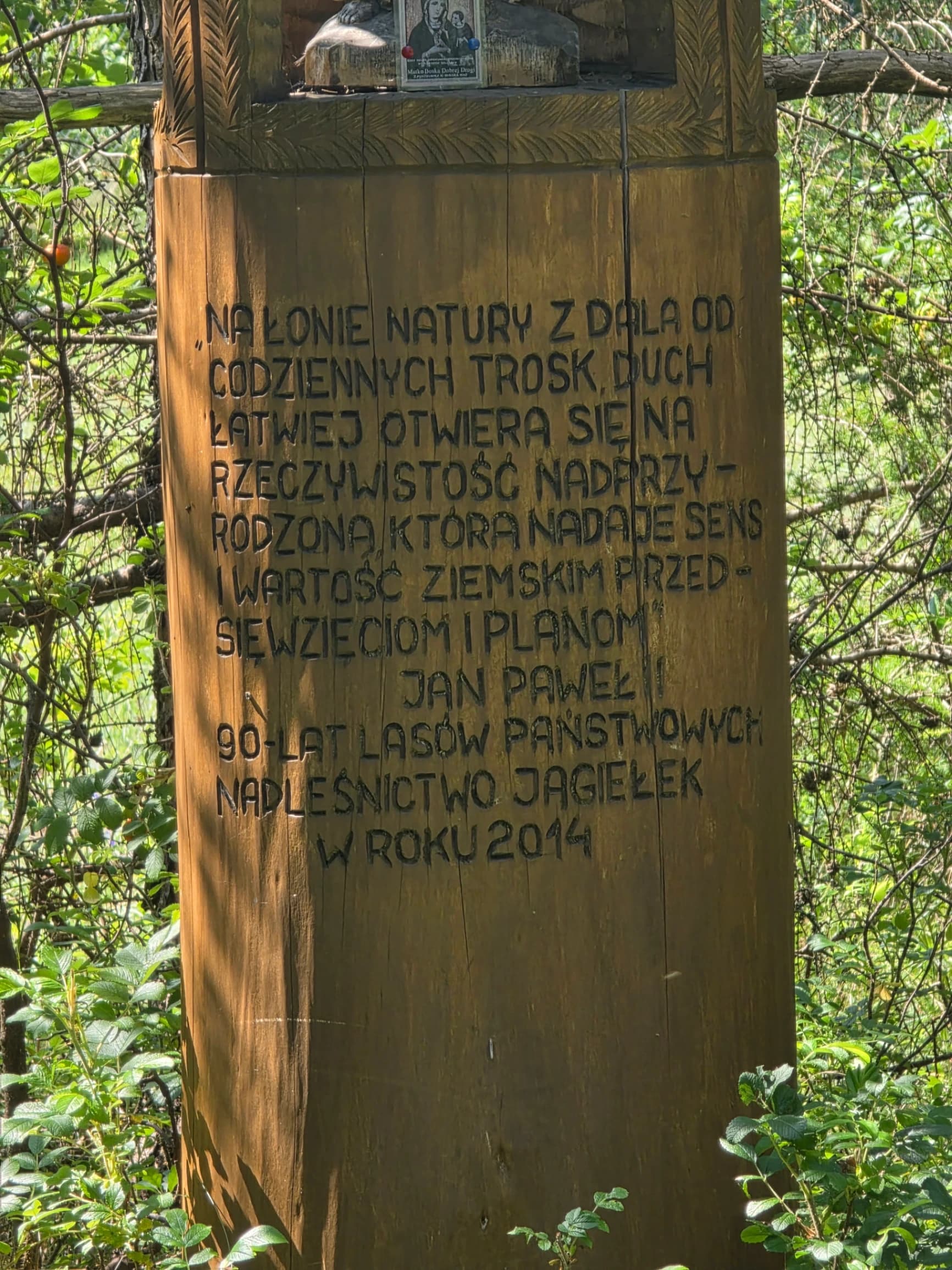 Zdjęcie 21 z dnia 2