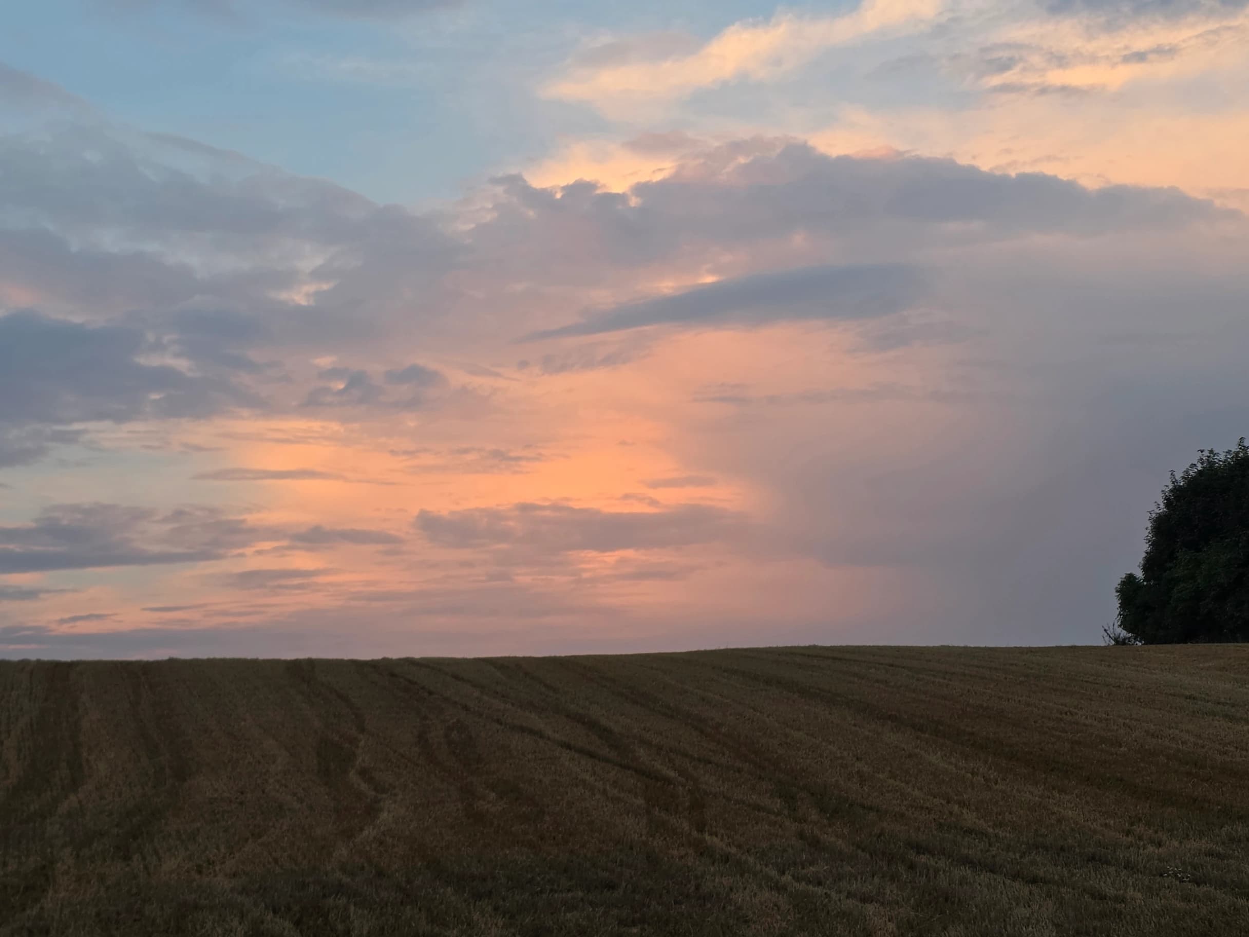 Zdjęcie 27 z dnia 2