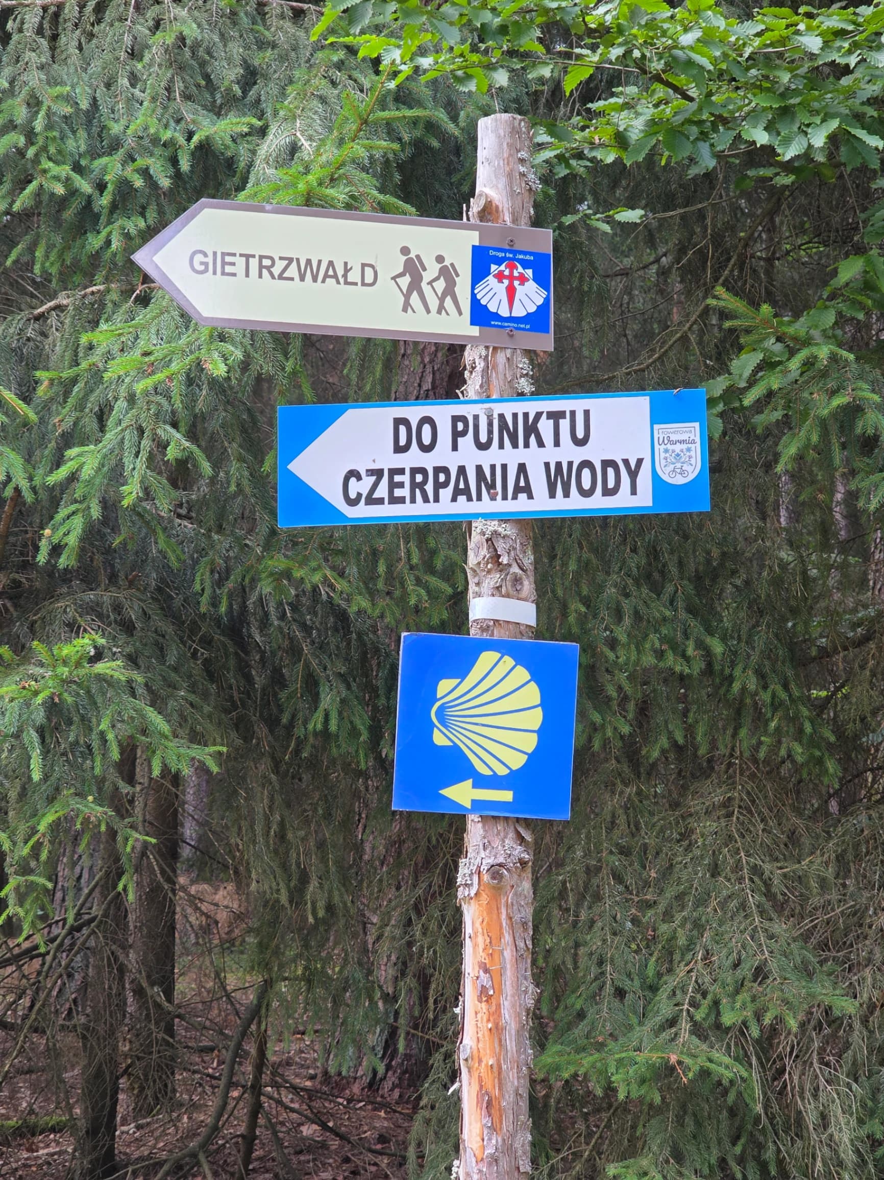 Zdjęcie 15 z dnia 1