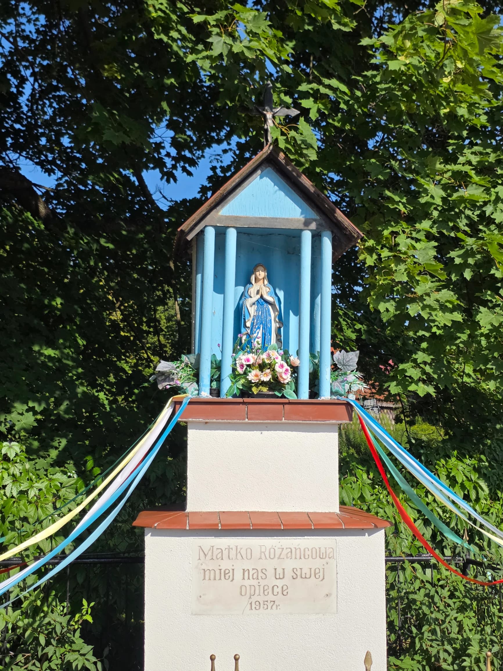Zdjęcie 5 z dnia 3