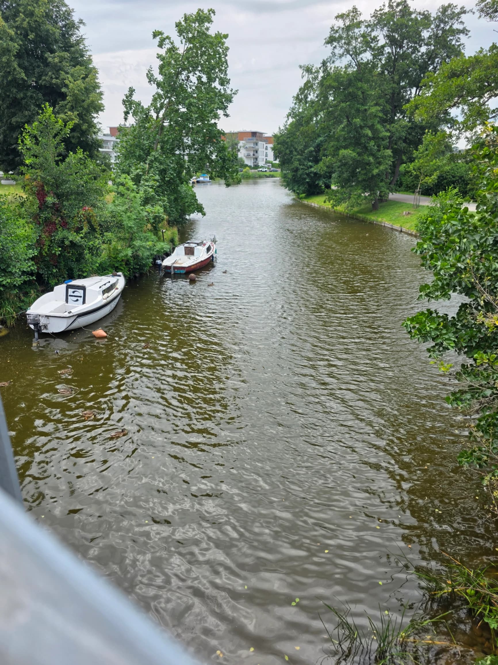 Zdjęcie 27 z dnia 4